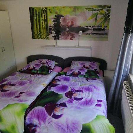 Kleines Apartement Zwischen Ega Und Messe إرفورت المظهر الخارجي الصورة